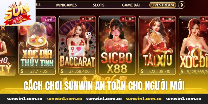 cách chơi Sunwin an toàn cho người mới